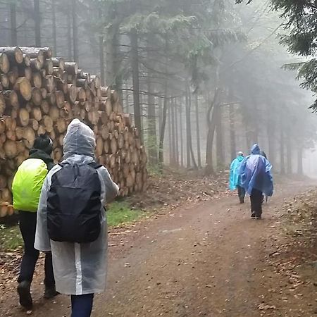 Urlaubsdomizil Am Toepfer - Ferienwohnungen In Olbersdorf ภายนอก รูปภาพ