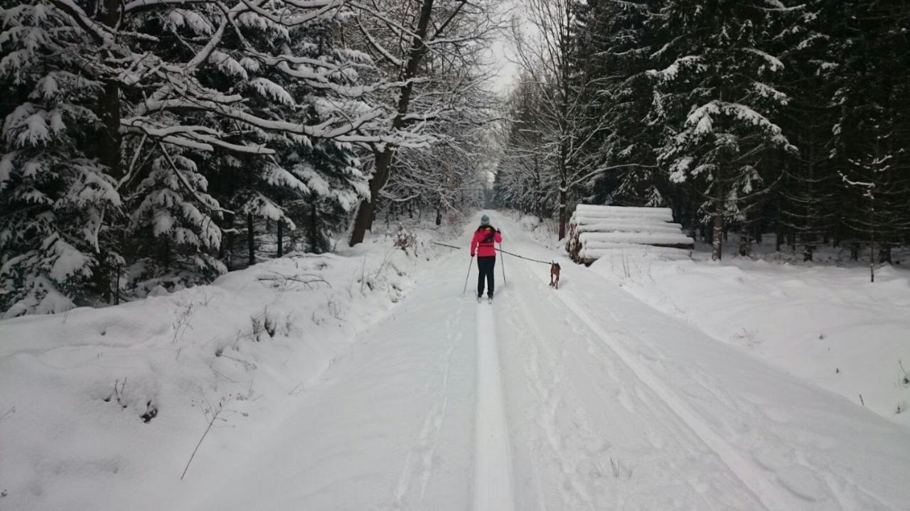 Urlaubsdomizil Am Toepfer - Ferienwohnungen In Olbersdorf ภายนอก รูปภาพ