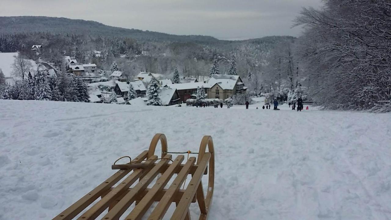 Urlaubsdomizil Am Toepfer - Ferienwohnungen In Olbersdorf ภายนอก รูปภาพ
