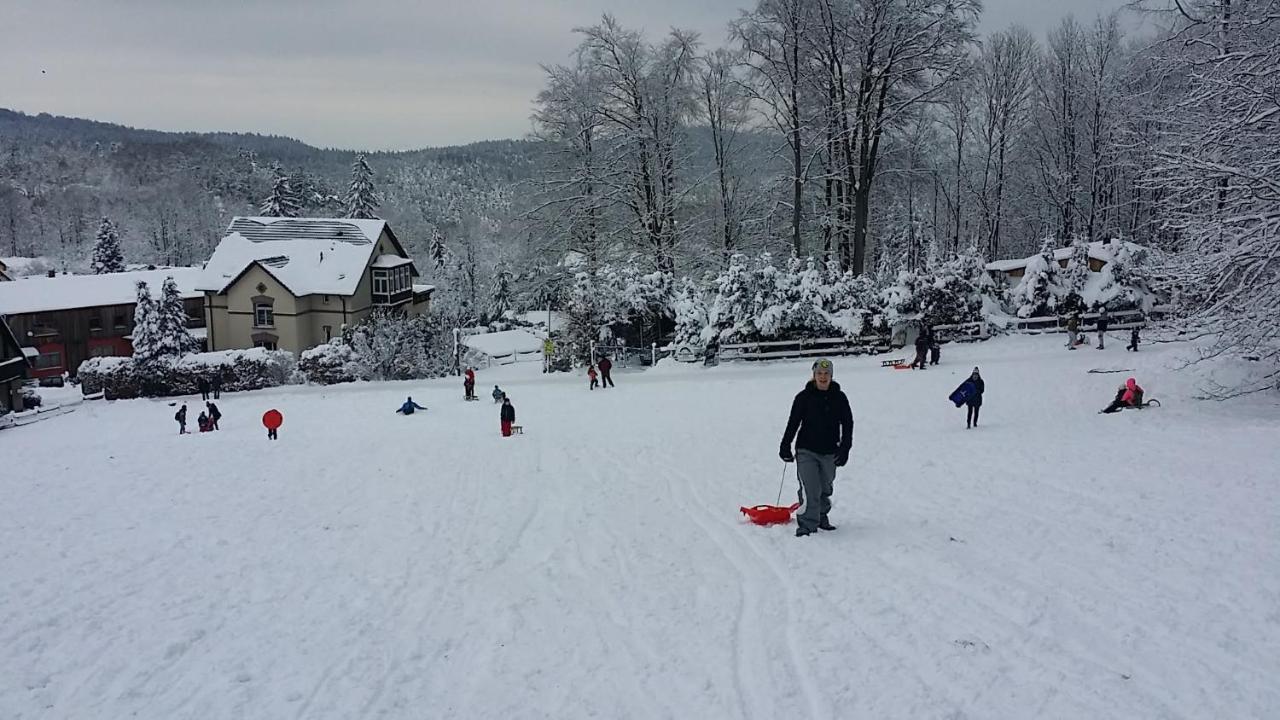 Urlaubsdomizil Am Toepfer - Ferienwohnungen In Olbersdorf ภายนอก รูปภาพ